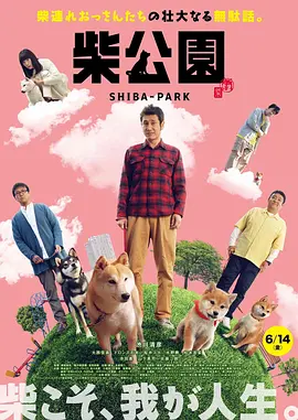 一路高分的暑期超英口碑 《闪电侠》曝新预告 闪电侠联手蝙蝠侠女超人战斗 2023-05-16 由华纳兄弟影片公司发行的DC超级英雄电影《闪电侠》(The Flash)发布全新角色海报及“逆时狂奔”预告片，一场为救所爱亲人的时空穿越却引发了宇宙秩序的崩塌，被困在过去时空里的闪电侠联手蝙蝠侠、超 《闪电侠》导演离职 消息称原因在于创意冲突 2016-05-03 据国外媒体报道，日前《闪电侠》导演赛斯·格雷厄姆·史密斯由于和DC产生“创作分歧”的原因，宣布不再执导《闪电侠》，而是加入编剧组只负责剧本创作。