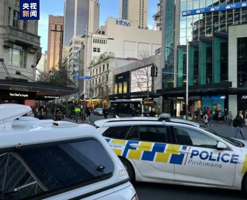 其他姐妹对此感到难以置信，但她们发誓要向母亲藤井隐瞒此事。